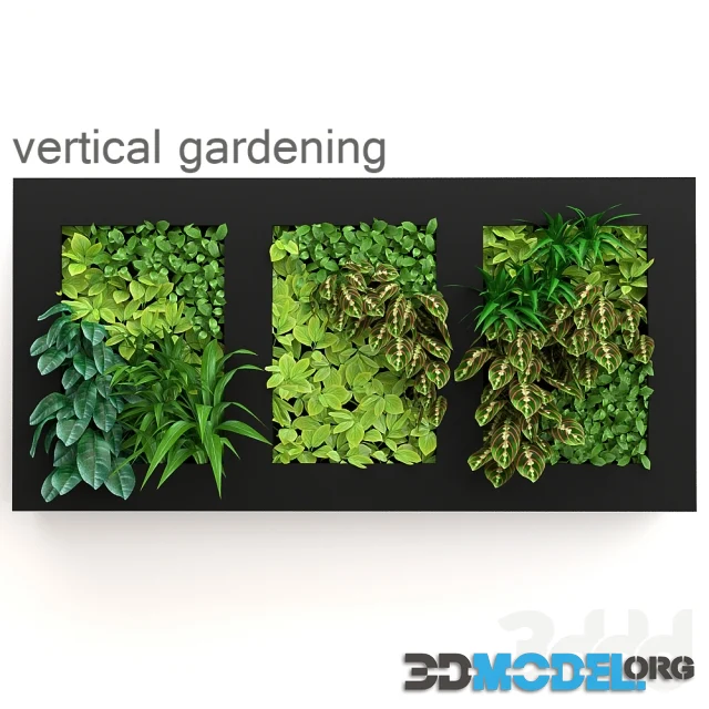 Vertical gardening (three options)