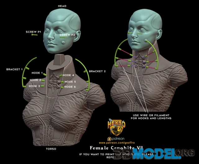 Hex3D - Female Cenobite v2 – Printable