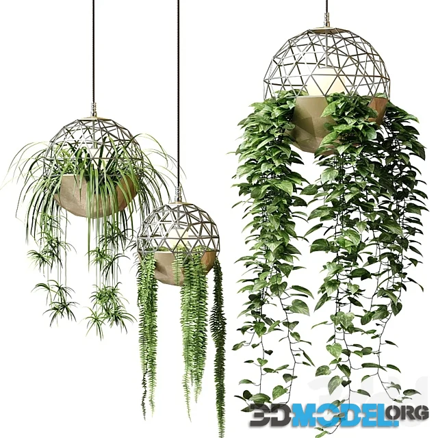 Atelier Schroeter Luminaires With Hanging Plants