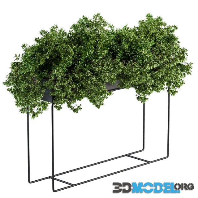 3D Model – Black Box Plants on stand 07