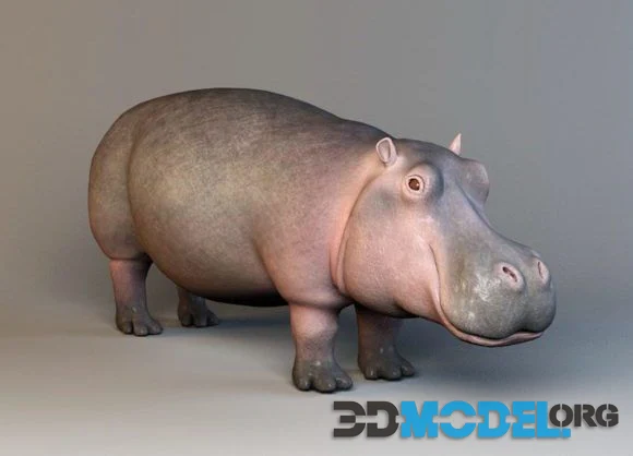 HIPPOPOTAMUS (PBR)