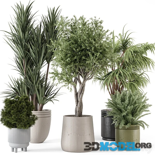 Indoor Plants in Ferm Living Bau Pot Large Set 817 Hi-Poly