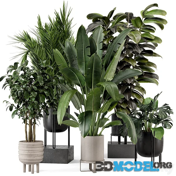 Indoor Plants in Ferm Living Bau Pot Large Set 879 Hi-Poly