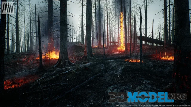 MW Burned Dead Trees Forest Biome