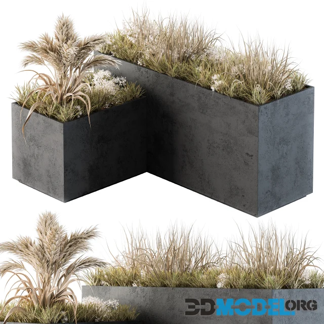 Outdoor Concrete Plant Box With Cereals and Dried Plants