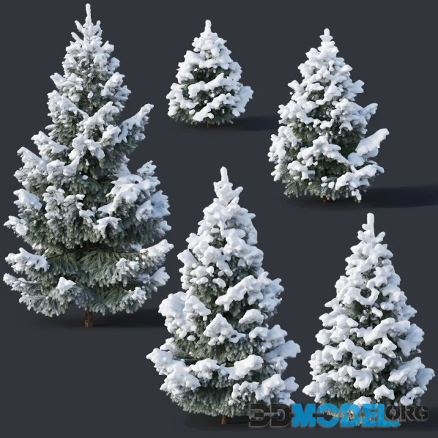 Spruce # 2 - Winter Six sizes H1-3m Hi-Poly