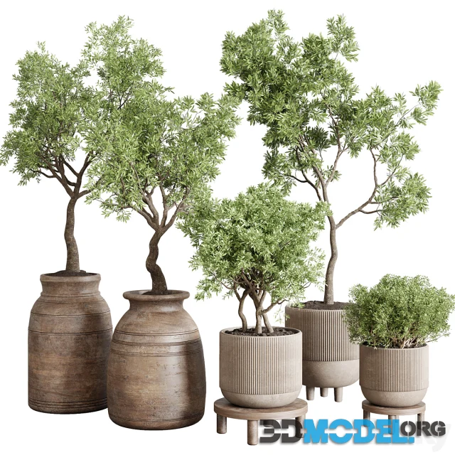 Wood collection indoor outdoor plant 141