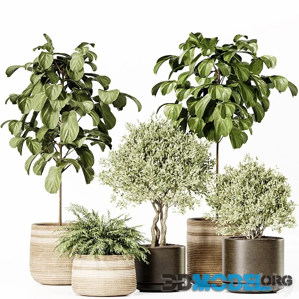 Indoor Plants Set 022