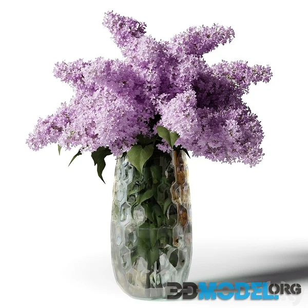 Bouquet of Lilacs in a Modern Tall Vase