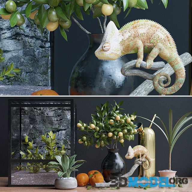 Decorative set Chameleon