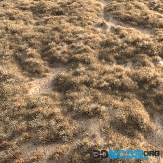 Dried grass