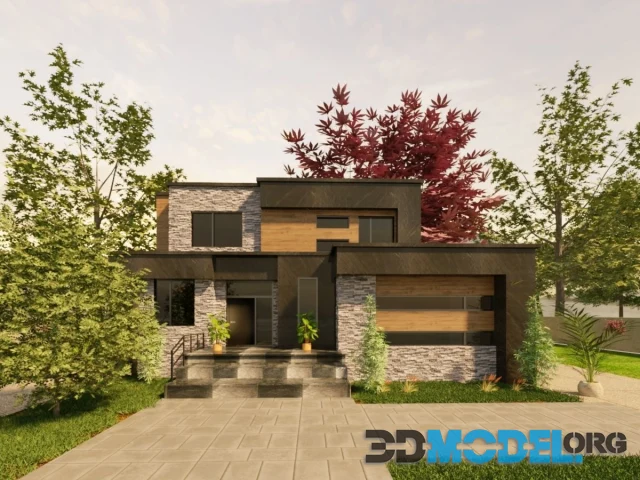 Modern House