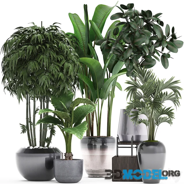 3D Model – Plant collection 291