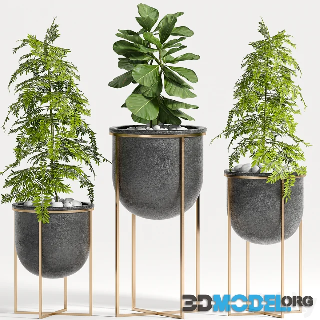 PLANT SET -80