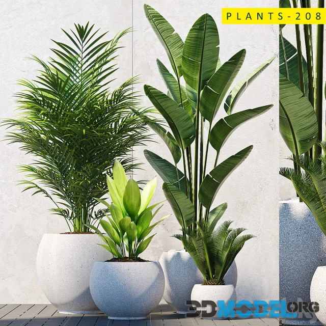 Plants 208