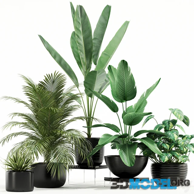 3D Model – Plants collection 119