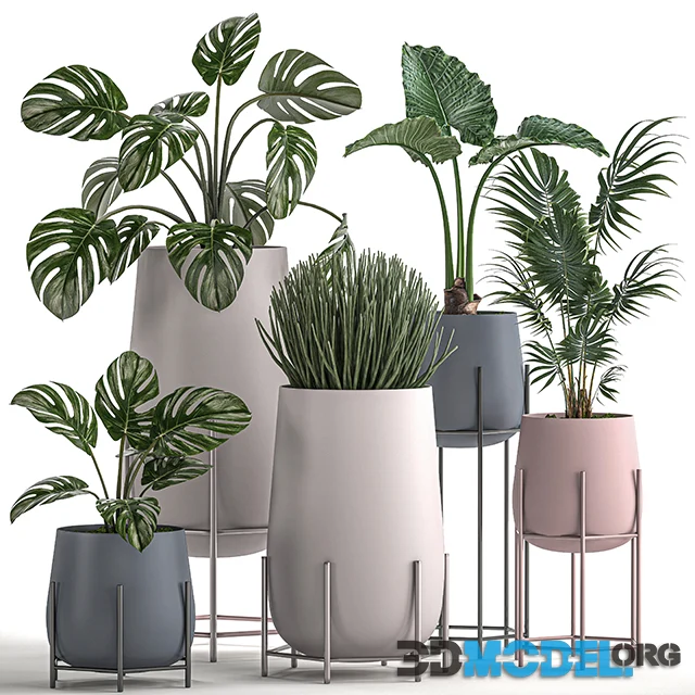 Plants collection 547