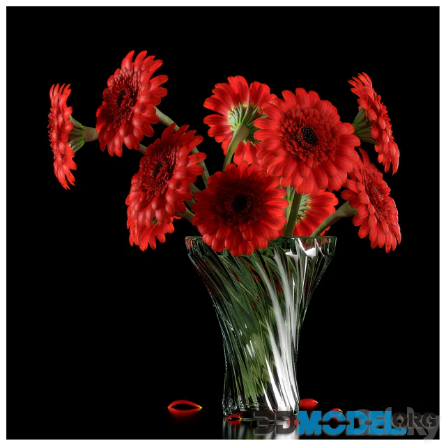 RED GERBERA