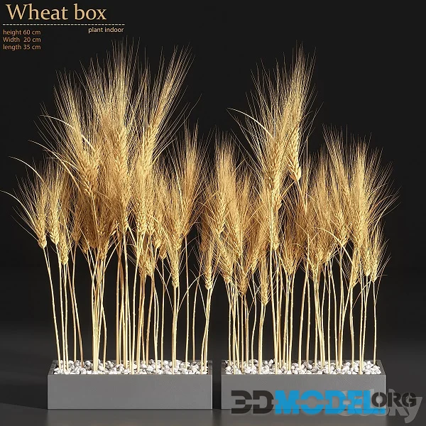 Wheat Box