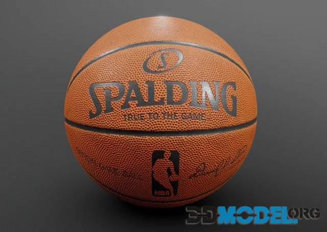 Basketball NBA Spalding PBR