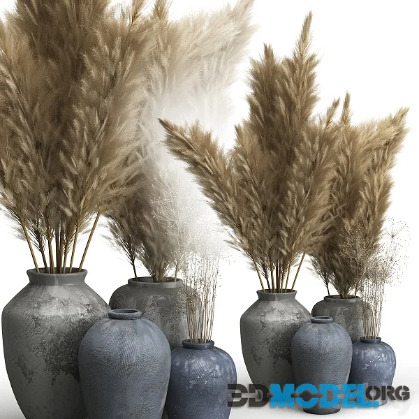 Decorative Set of Clay Vases and Pampas Grass