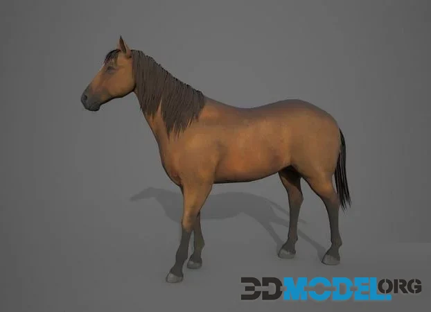 Horse Brown (PBR)