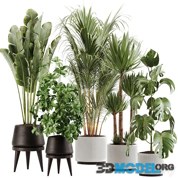 3D Model – Indoor Plant Set 13