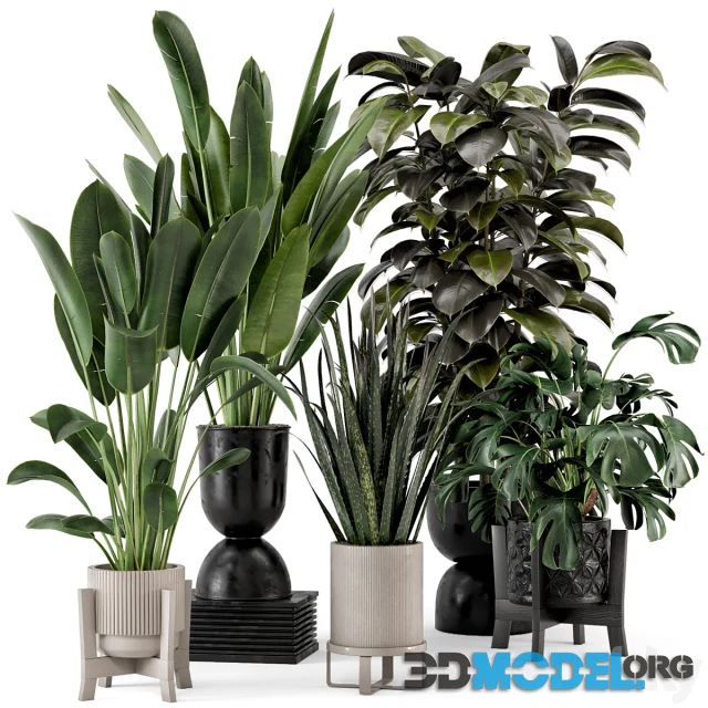 Indoor Plants in Ferm Living Bau Pot Large - Set 583