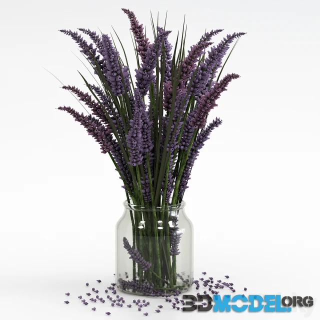 Bouquet of lavender