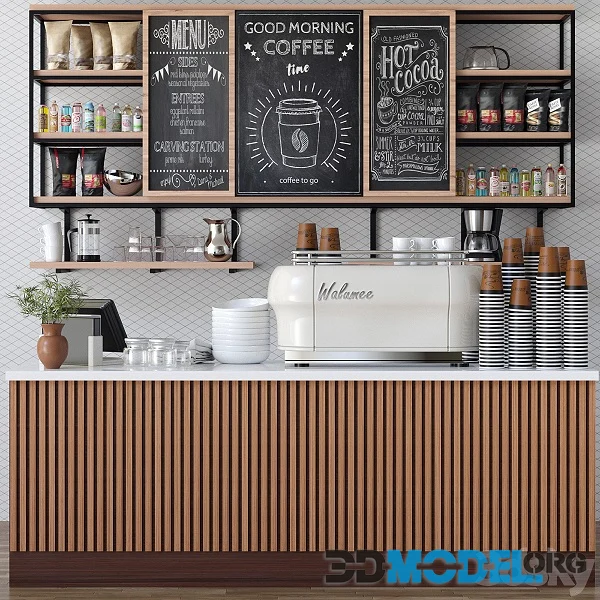 Design project of a Cafe in Ethnic Style With a Coffee