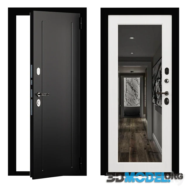 Entrance Door Flush Metal With a Mirror