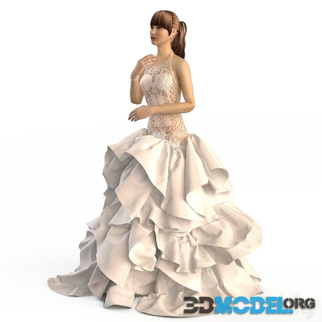 Girl in a Wedding Dress