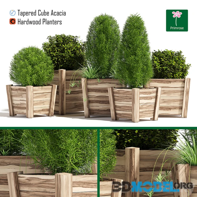 Hardwood planters