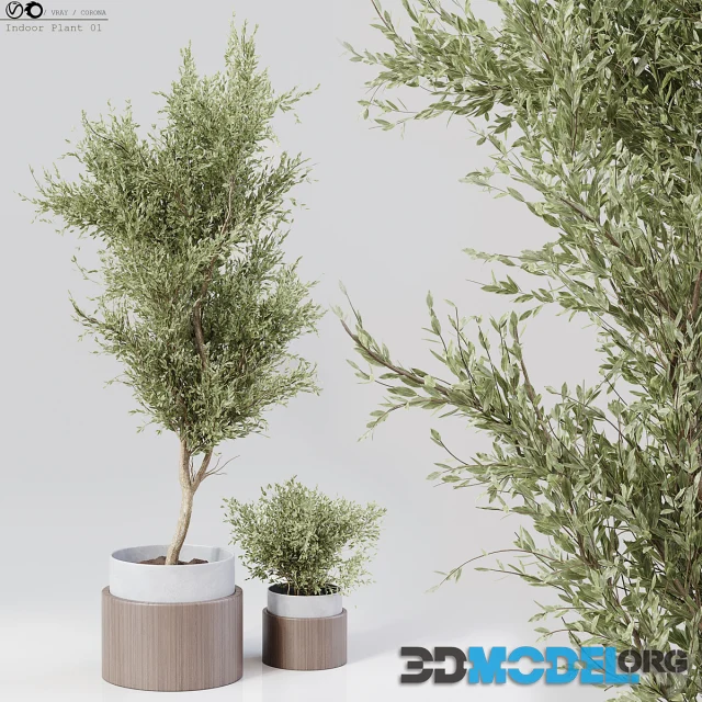 3D Model – Indoor Plant 01