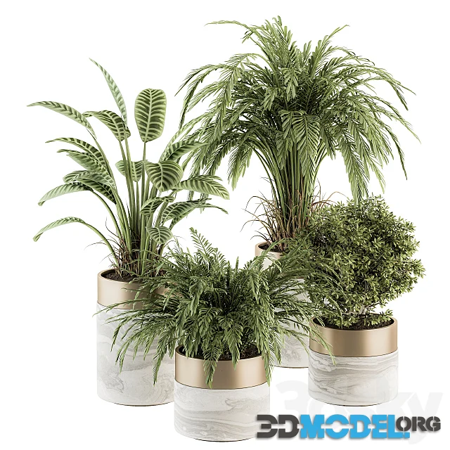 indoor Plant Set 245 - Plant Set in pot