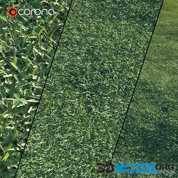 Lawn Grass 2