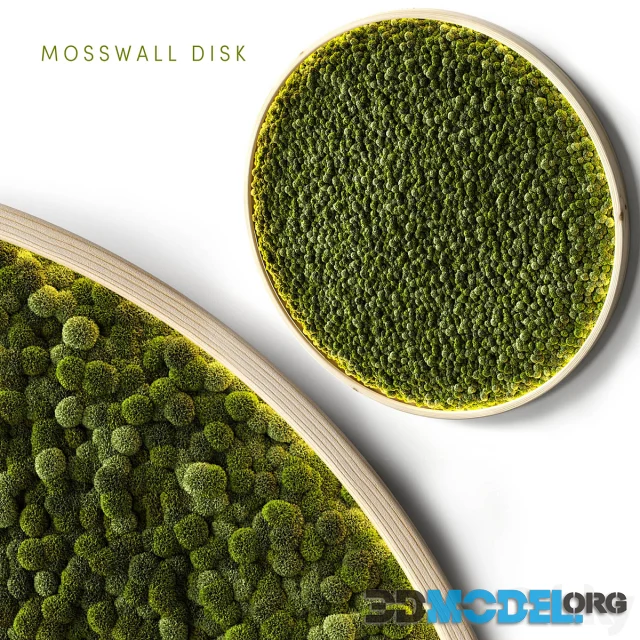 Mosswall disk 2