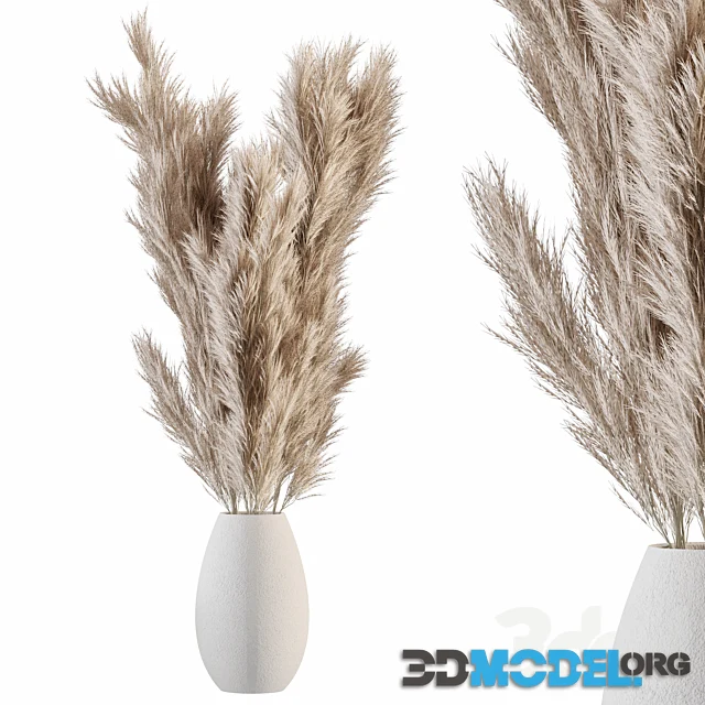 Pampas 01