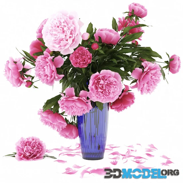 Peonies