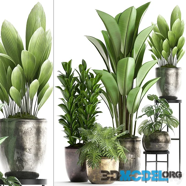 3d Model – Plant Collection 361