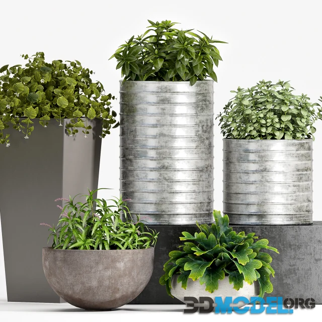 3D Model – PLANT SET - 83