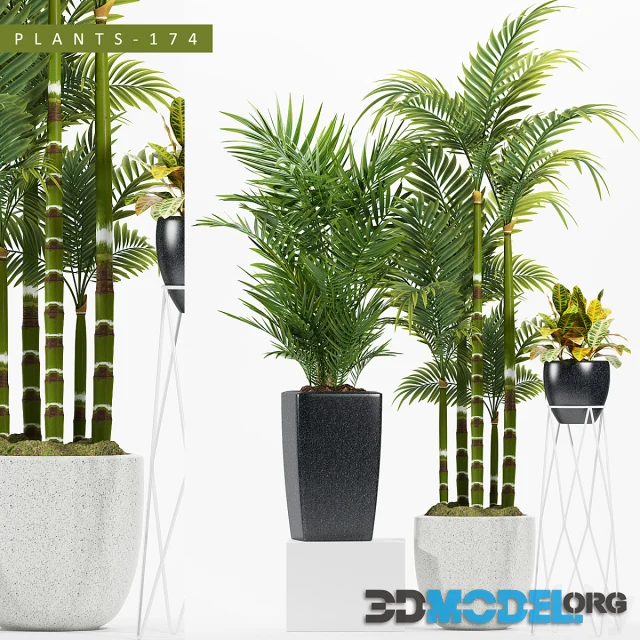 PLANTS 174