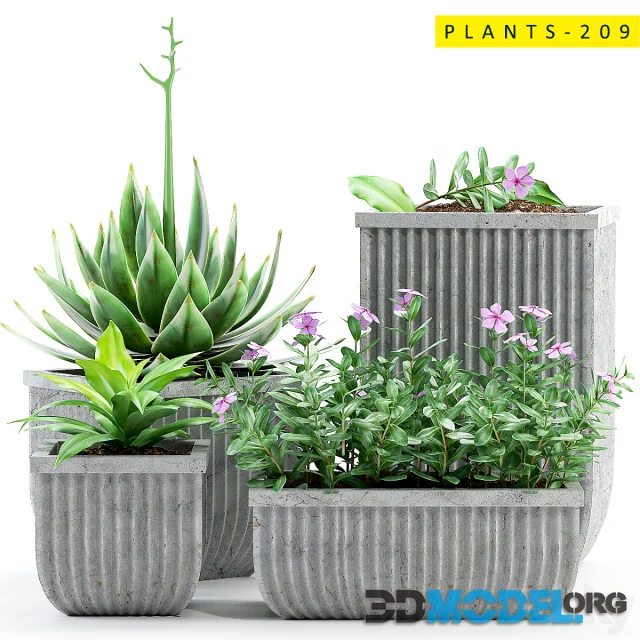 PLANTS 209