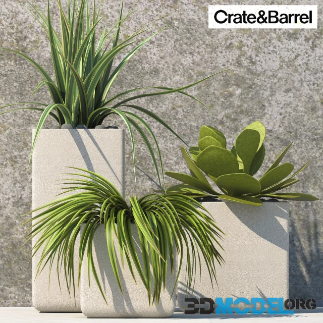 PLANTS 60