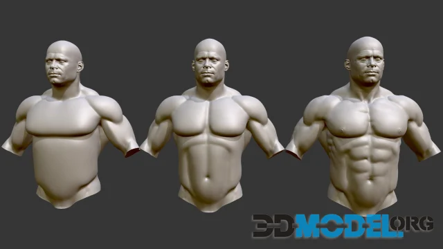 Sculpt Steps - Male Torso Anatomy