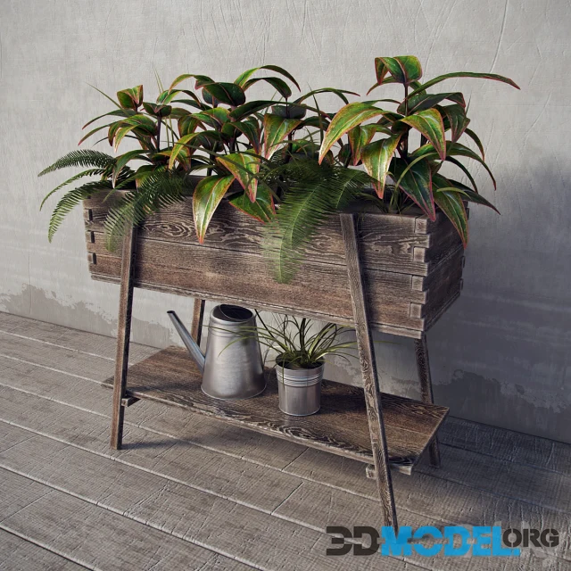 Terrace Plants