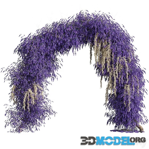 Arch of Lavender Flowers