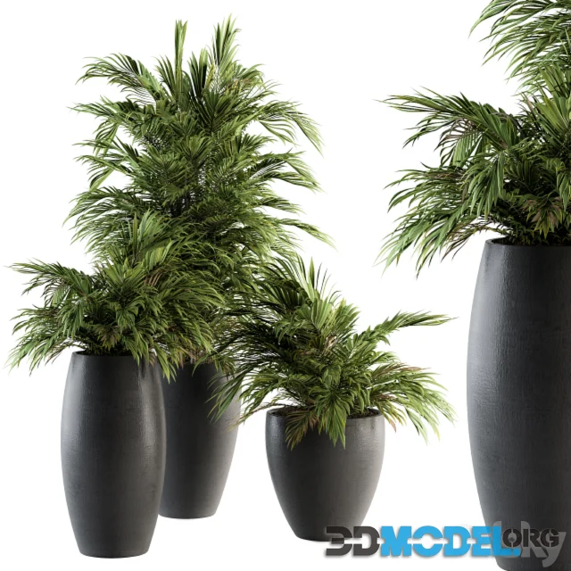 Indoor Plant Set 88 - Tropical