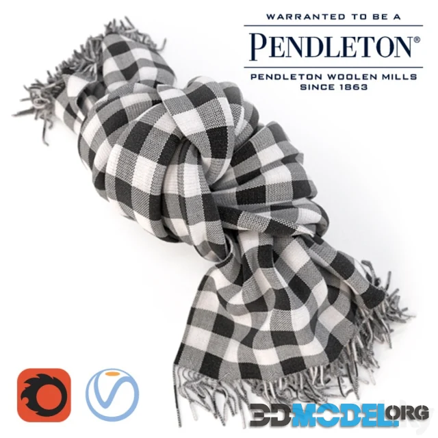 PENDLETON blanket
