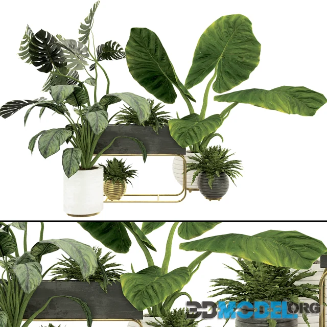 3D Model – Plant Collection Set 07